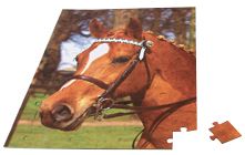 A3 PUZZLE 80 parça (10'LU)