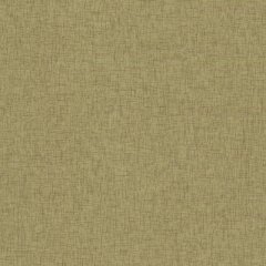 Acrylathins Lazer Plaka MOSS